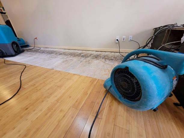 Professional Water Damage Repair technician working in Milton, PA